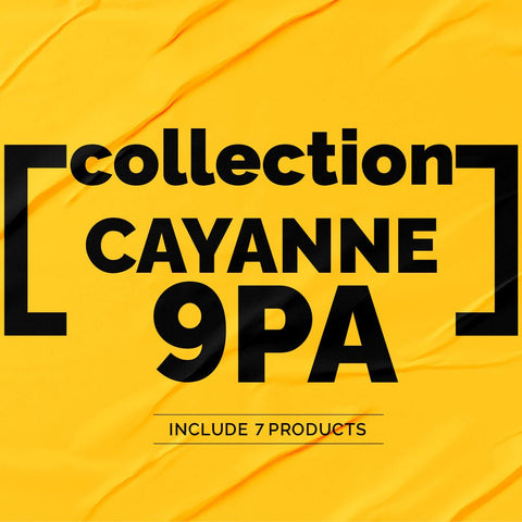 Cayenne 9PA